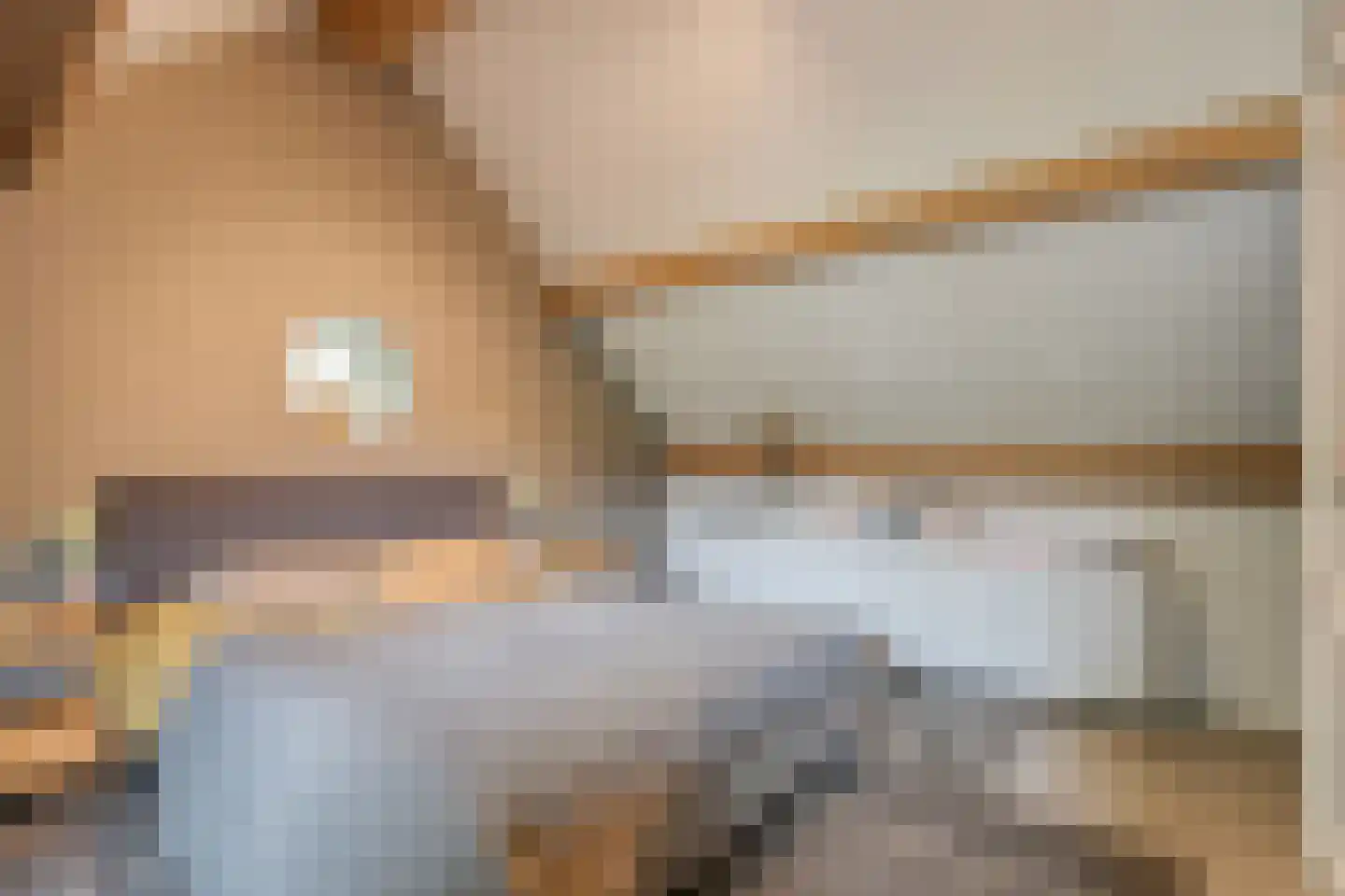 Tolhuisweg 28 Dalfsen thumbnail 35