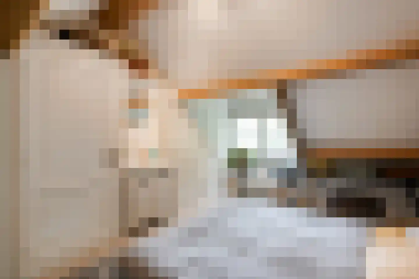 Tolhuisweg 28 Dalfsen thumbnail 36