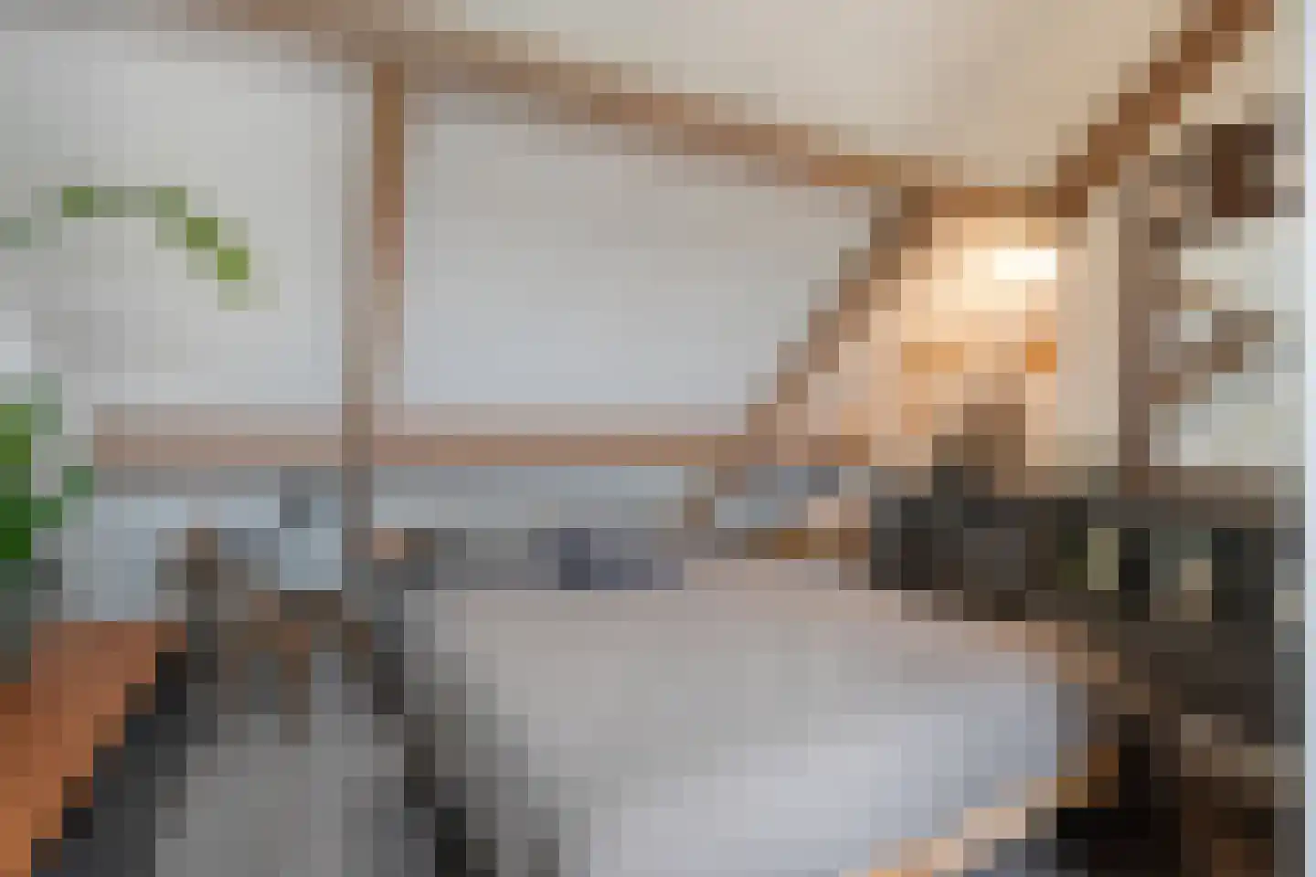 Tolhuisweg 28 Dalfsen thumbnail 40