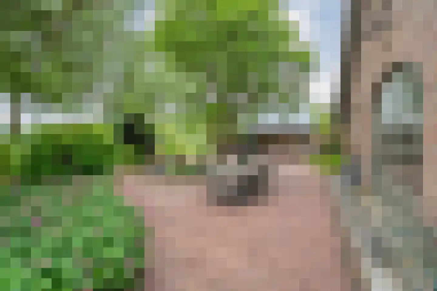 Tolhuisweg 28 Dalfsen thumbnail 45