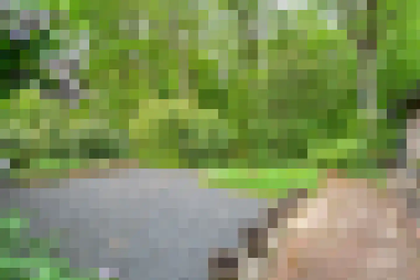 Tolhuisweg 28 Dalfsen thumbnail 47
