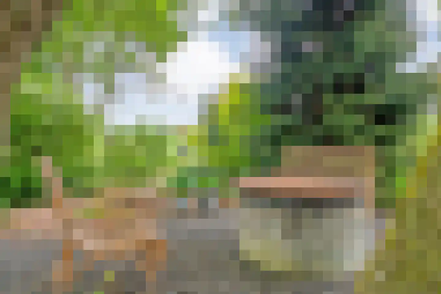 Tolhuisweg 28 Dalfsen thumbnail 48