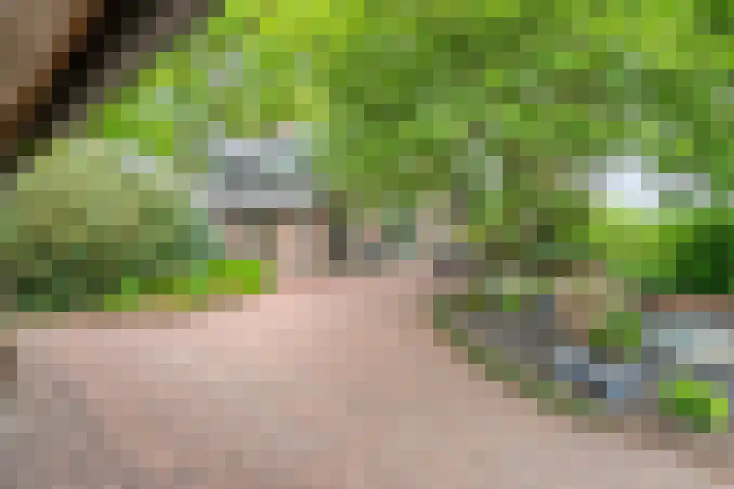 Tolhuisweg 28 Dalfsen thumbnail 49