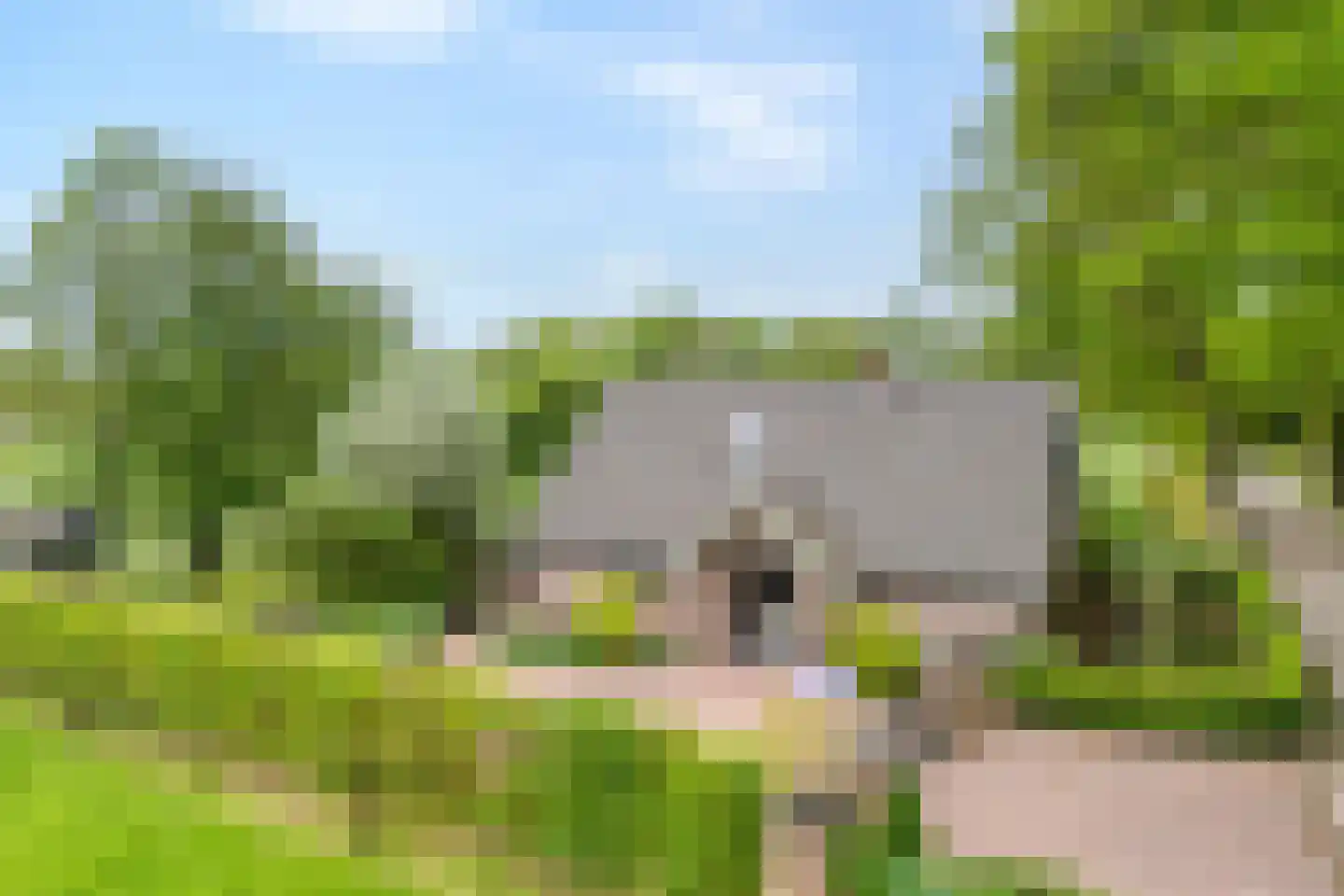 Tolhuisweg 28 Dalfsen thumbnail 5