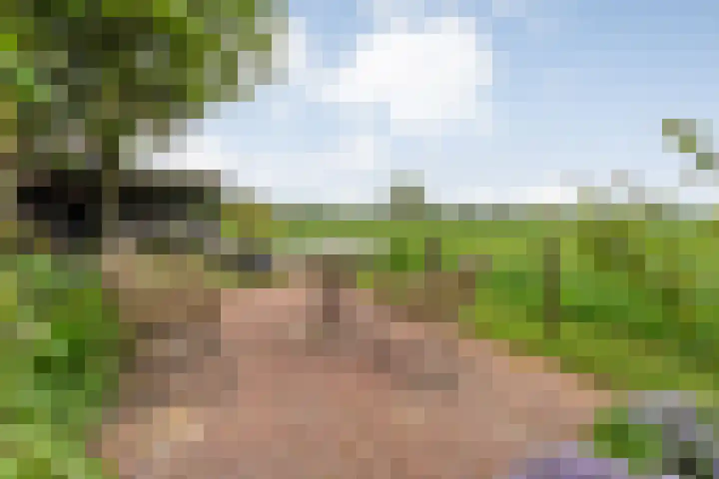 Tolhuisweg 28 Dalfsen thumbnail 50