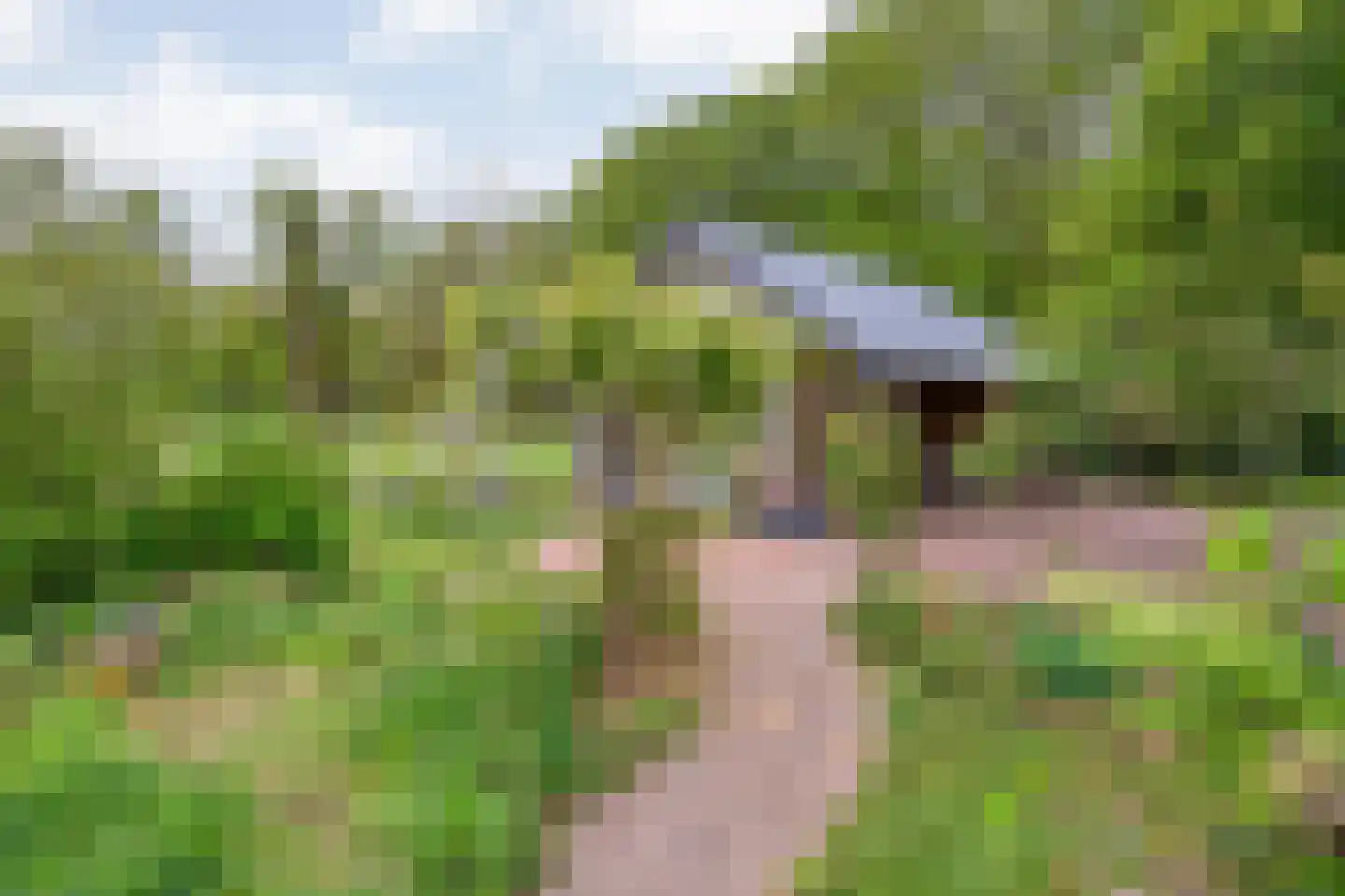 Tolhuisweg 28 Dalfsen thumbnail 52