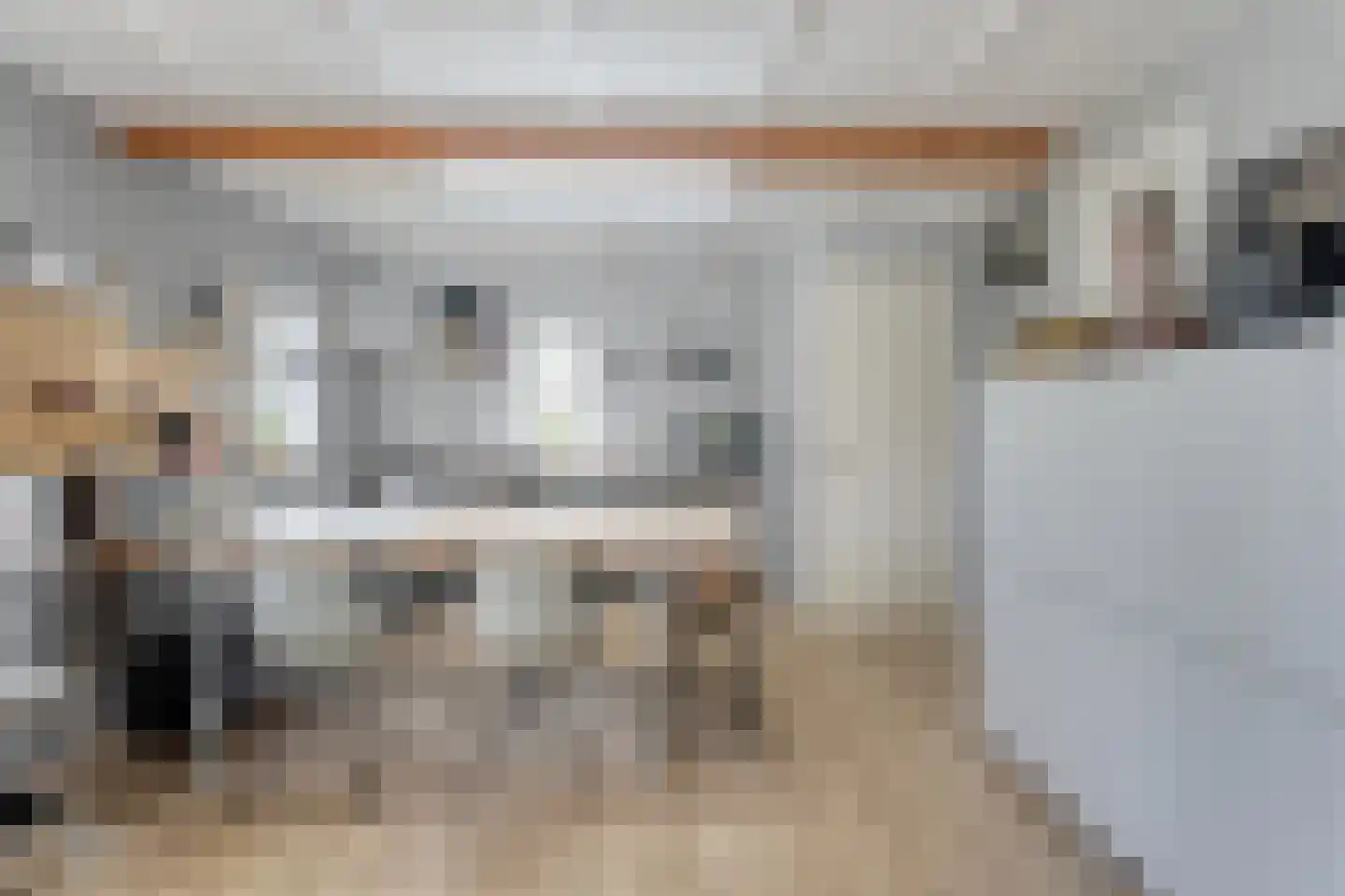Tolhuisweg 28 Dalfsen thumbnail 53