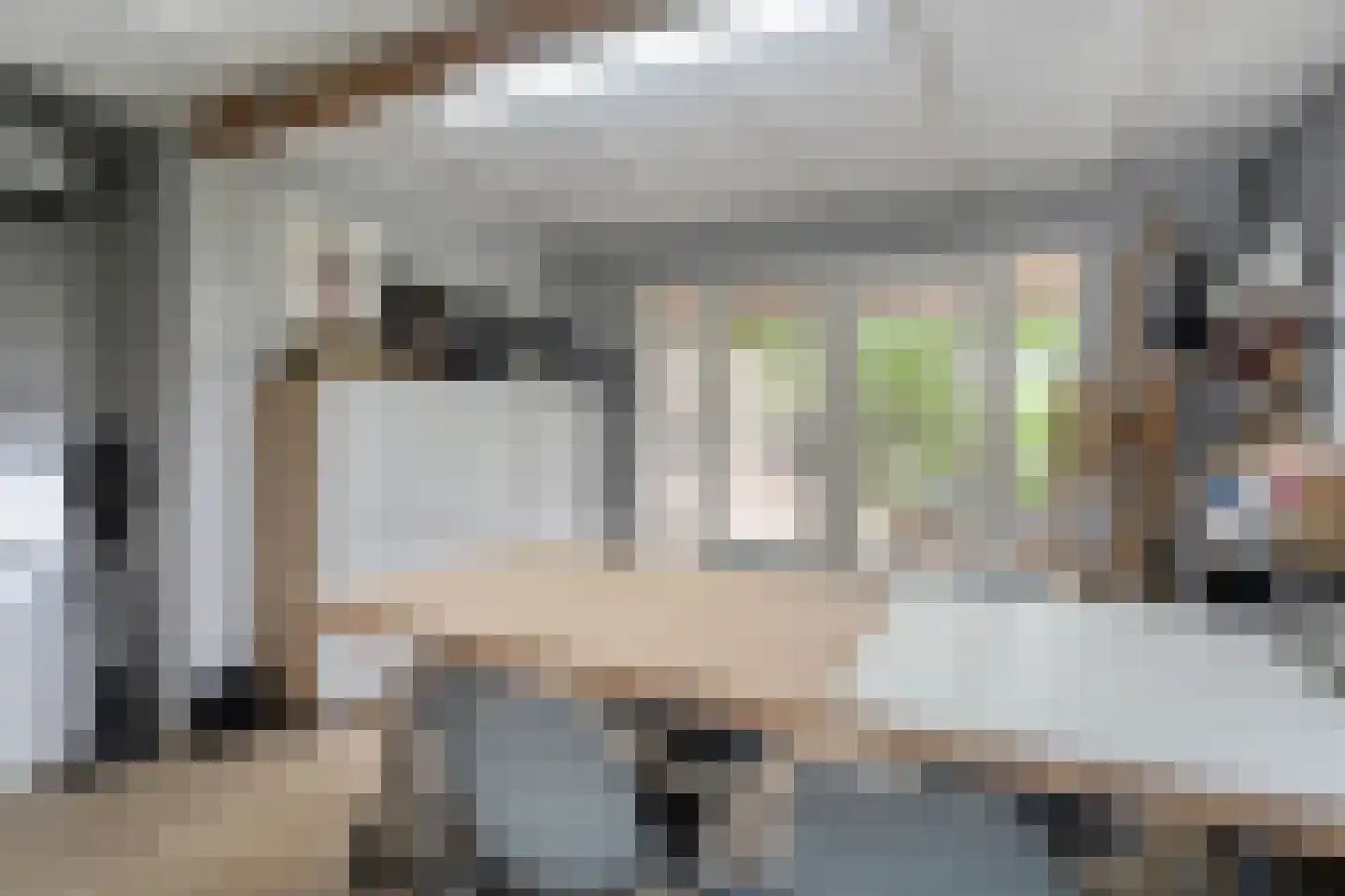Tolhuisweg 28 Dalfsen thumbnail 56
