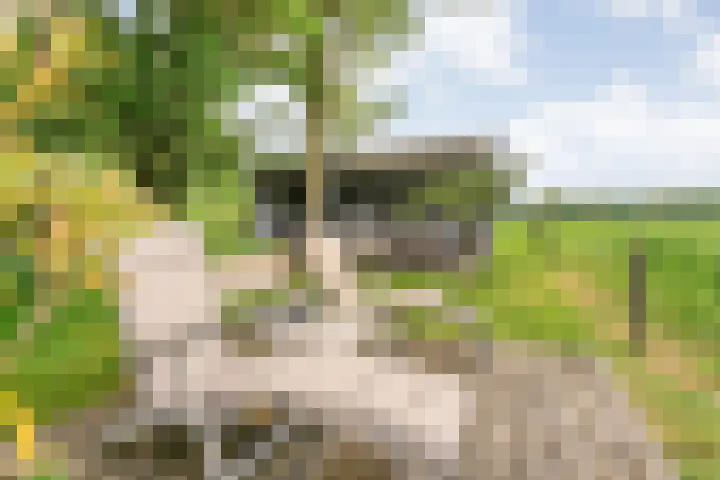 Tolhuisweg 28 Dalfsen thumbnail 58