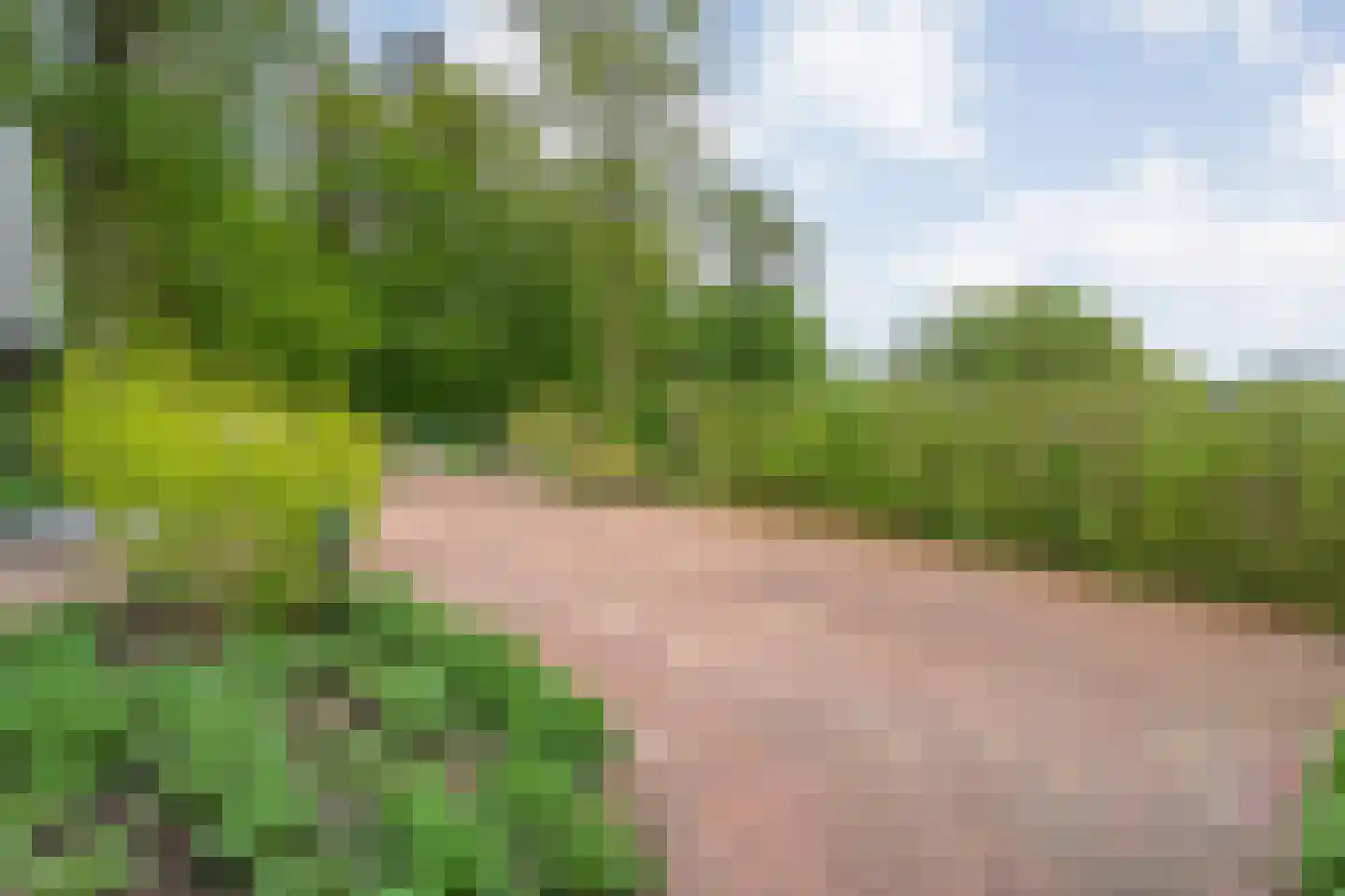 Tolhuisweg 28 Dalfsen thumbnail 59
