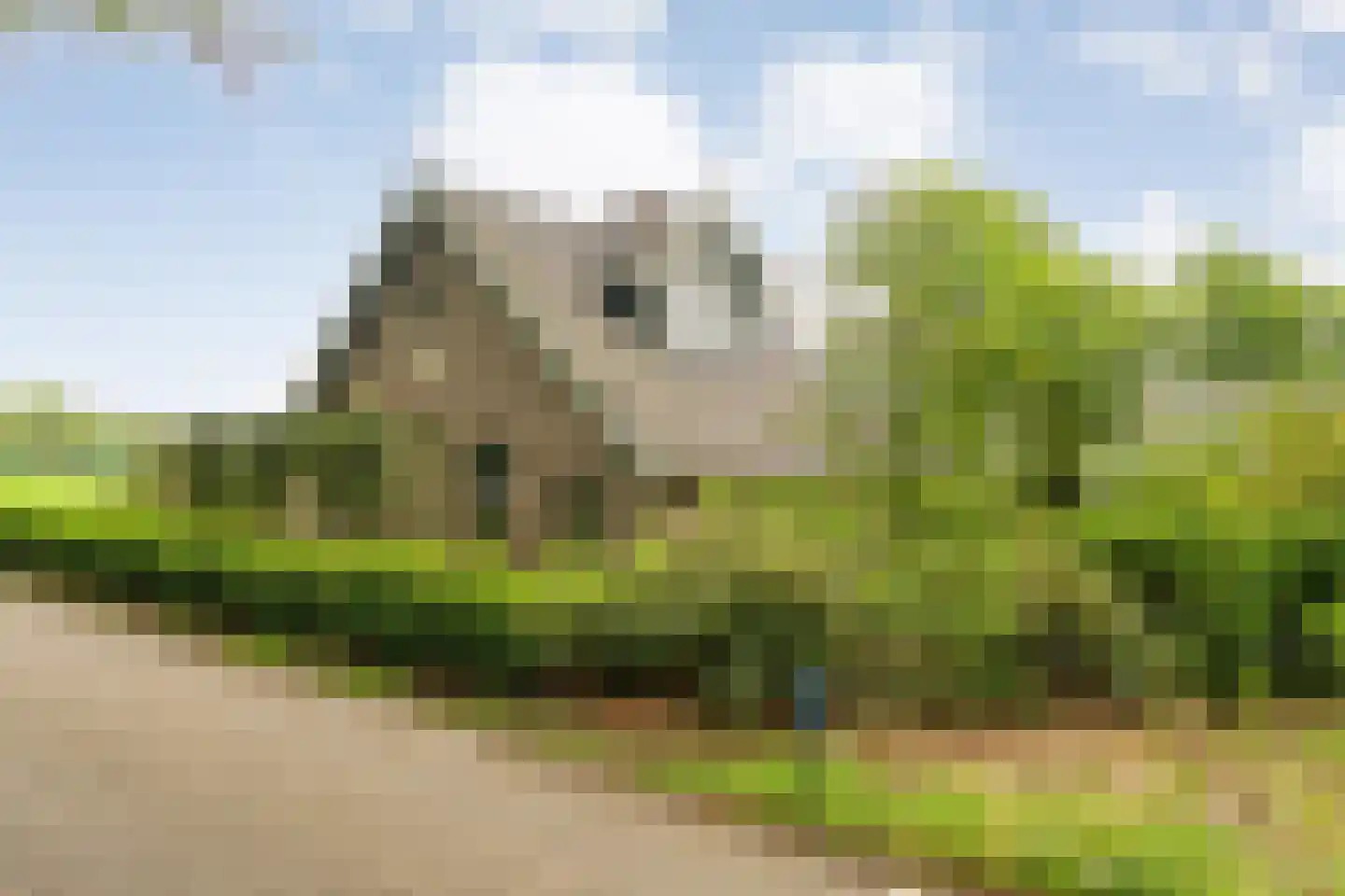 Tolhuisweg 28 Dalfsen thumbnail 6