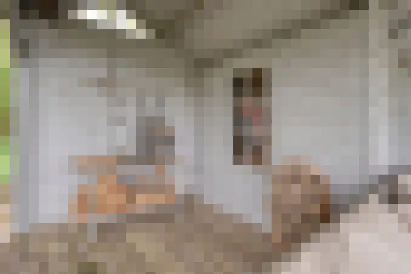 Tolhuisweg 28 Dalfsen thumbnail 61