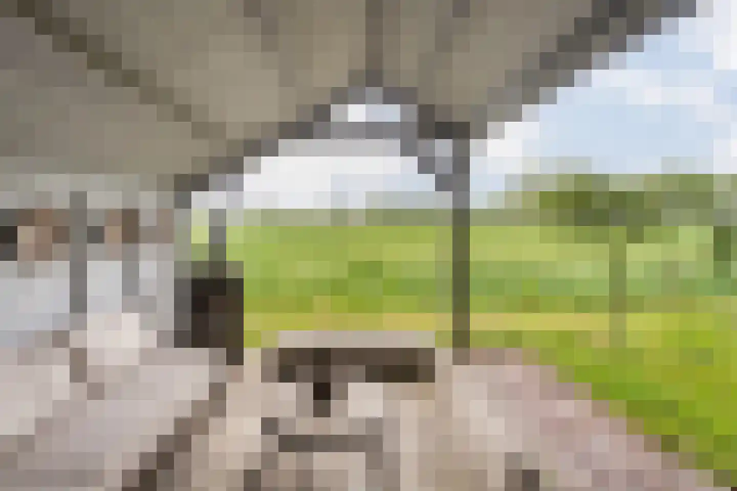 Tolhuisweg 28 Dalfsen thumbnail 62
