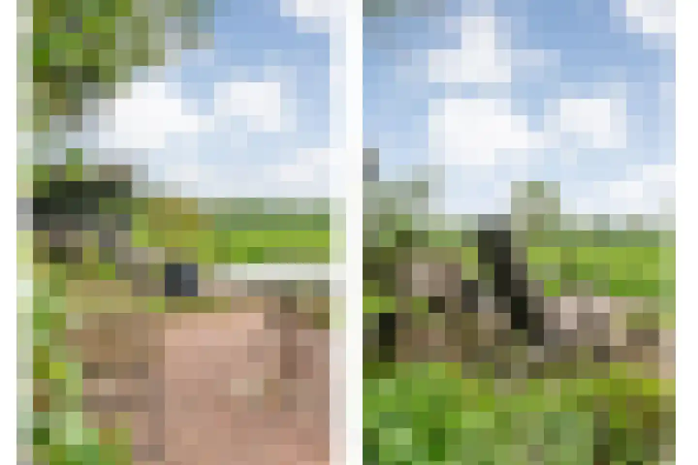 Tolhuisweg 28 Dalfsen thumbnail 63