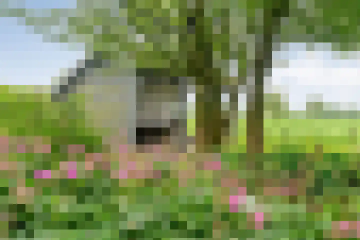 Tolhuisweg 28 Dalfsen thumbnail 64