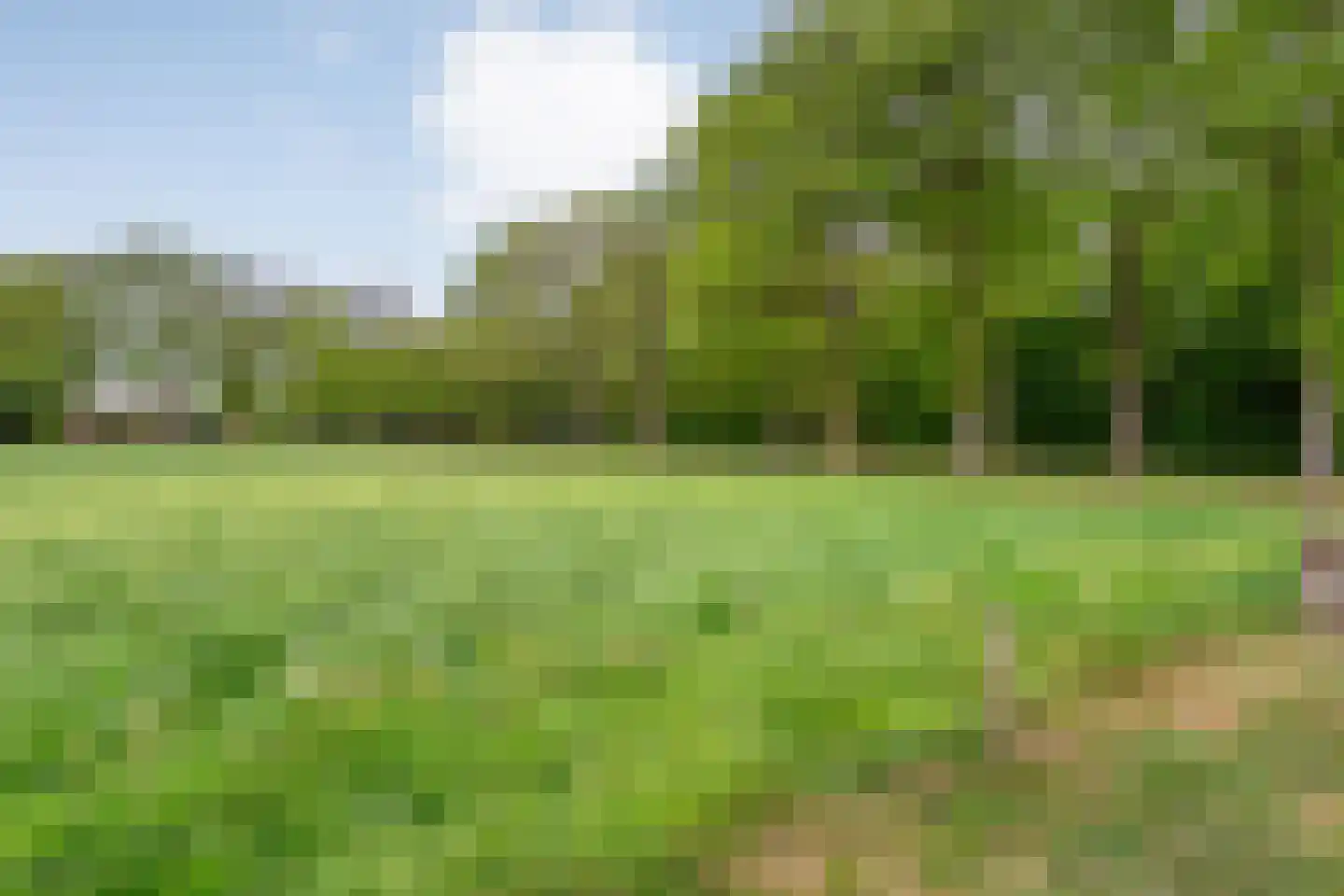 Tolhuisweg 28 Dalfsen thumbnail 65