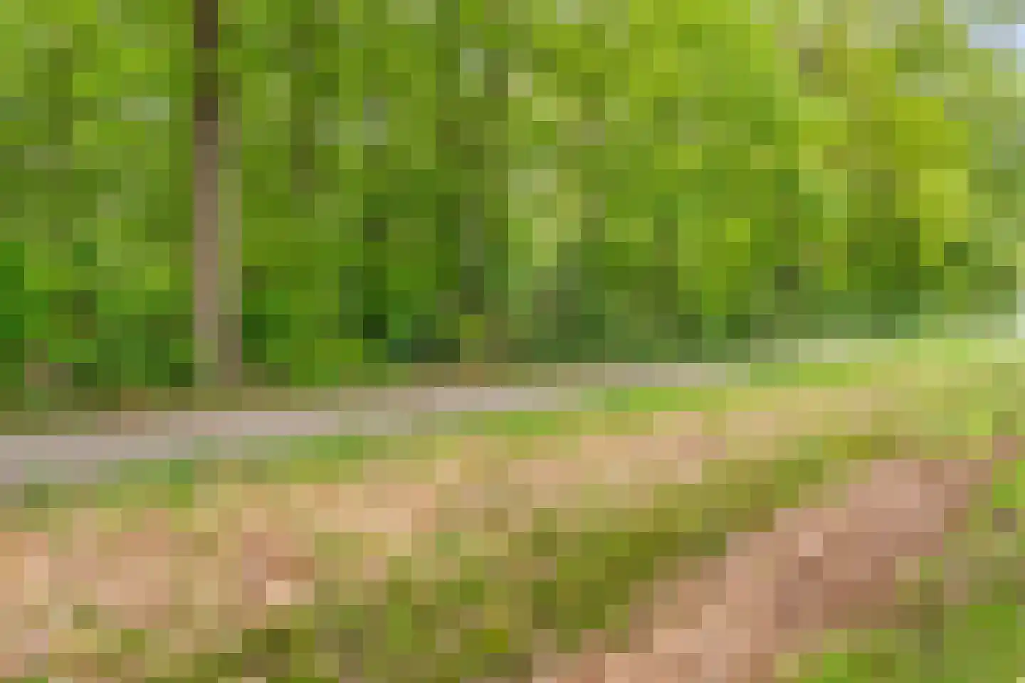 Tolhuisweg 28 Dalfsen thumbnail 66