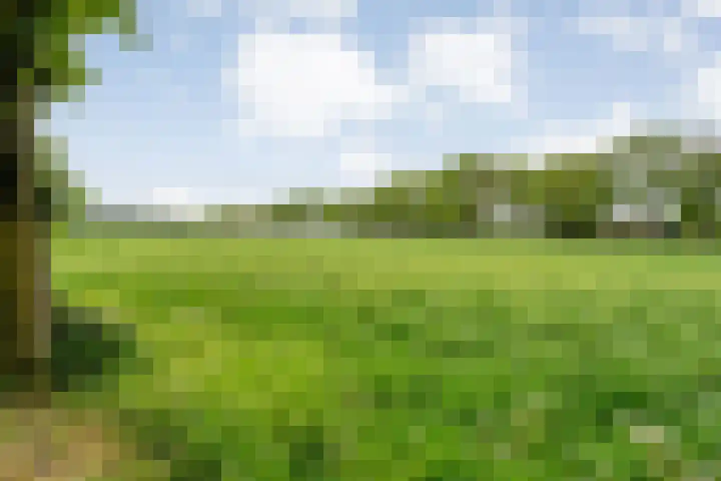 Tolhuisweg 28 Dalfsen thumbnail 67