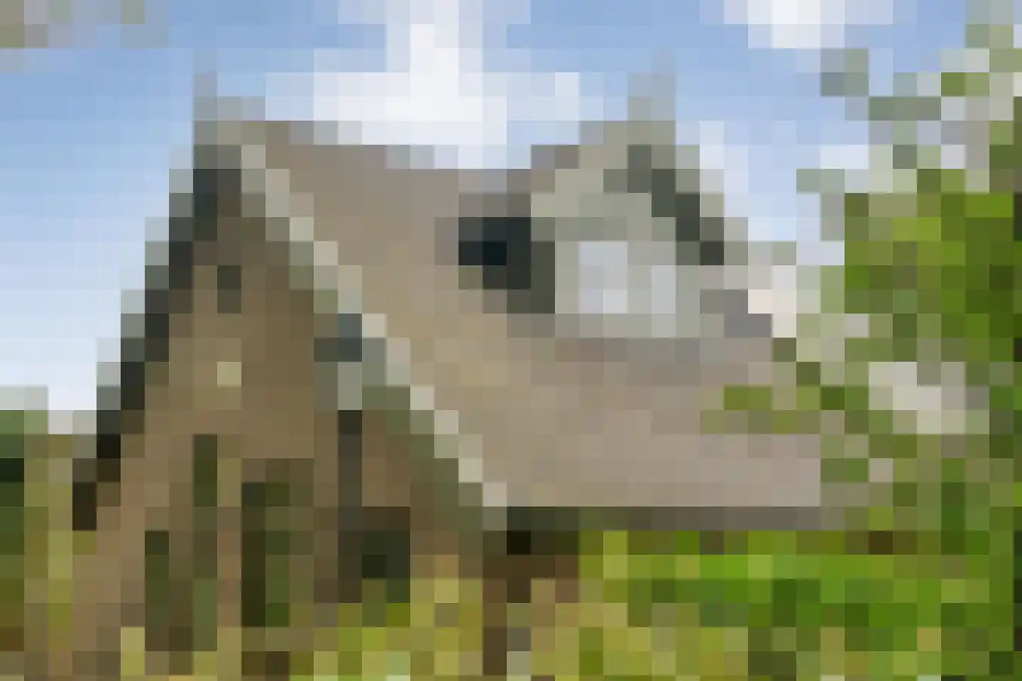 Tolhuisweg 28 Dalfsen thumbnail 68