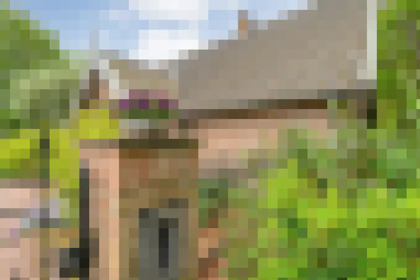 Tolhuisweg 28 Dalfsen thumbnail 7
