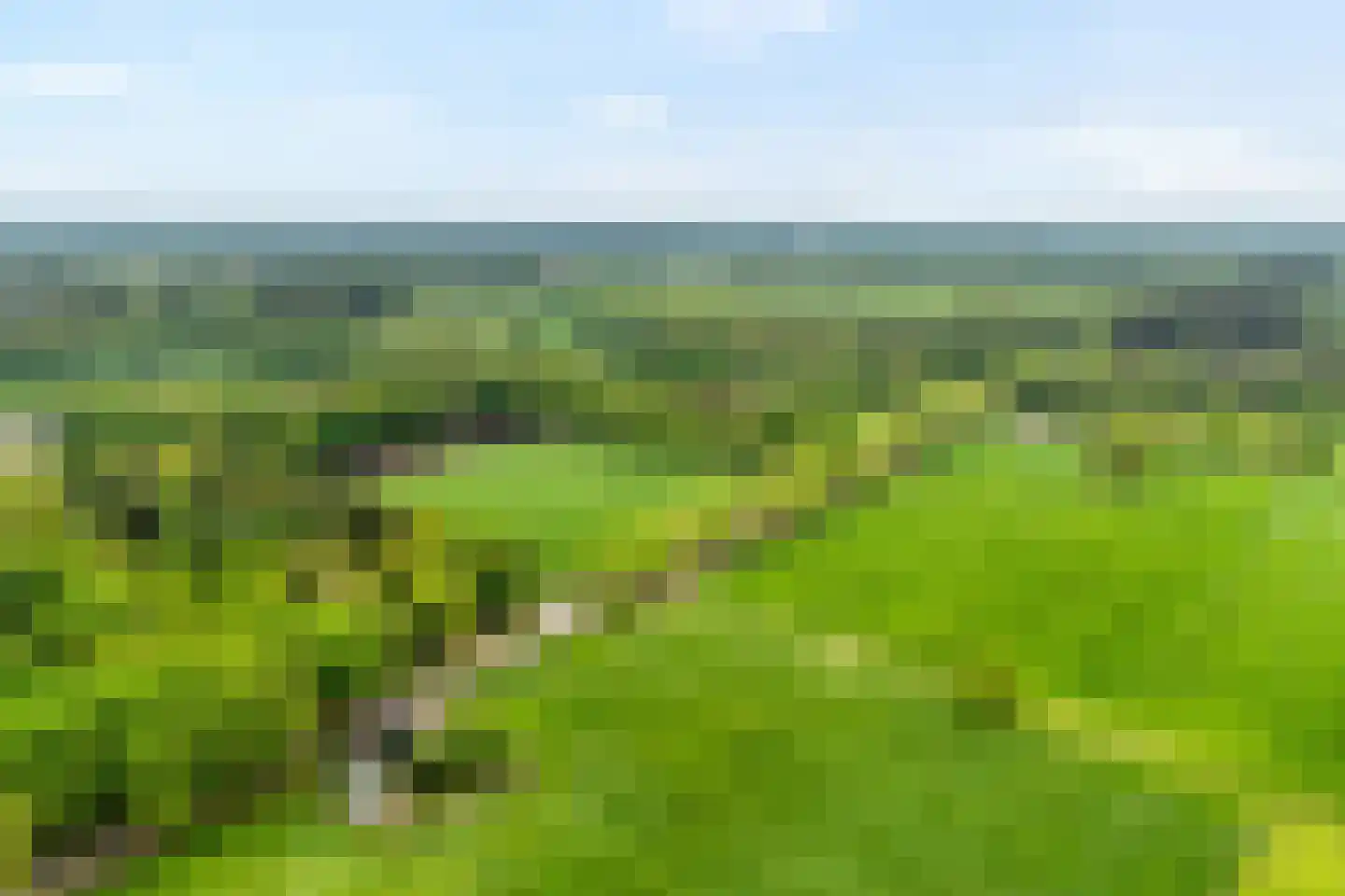 Tolhuisweg 28 Dalfsen thumbnail 73