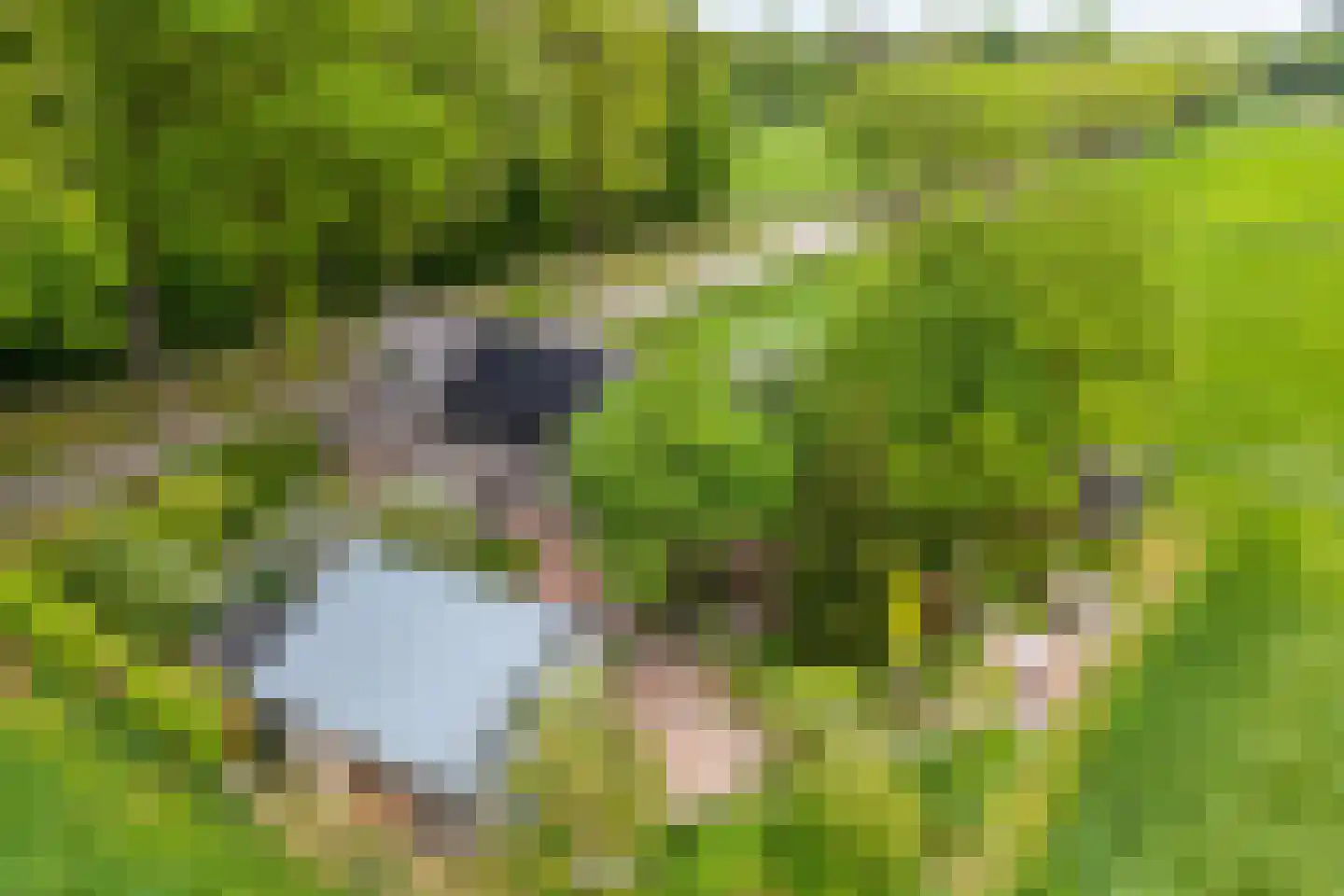 Tolhuisweg 28 Dalfsen thumbnail 74