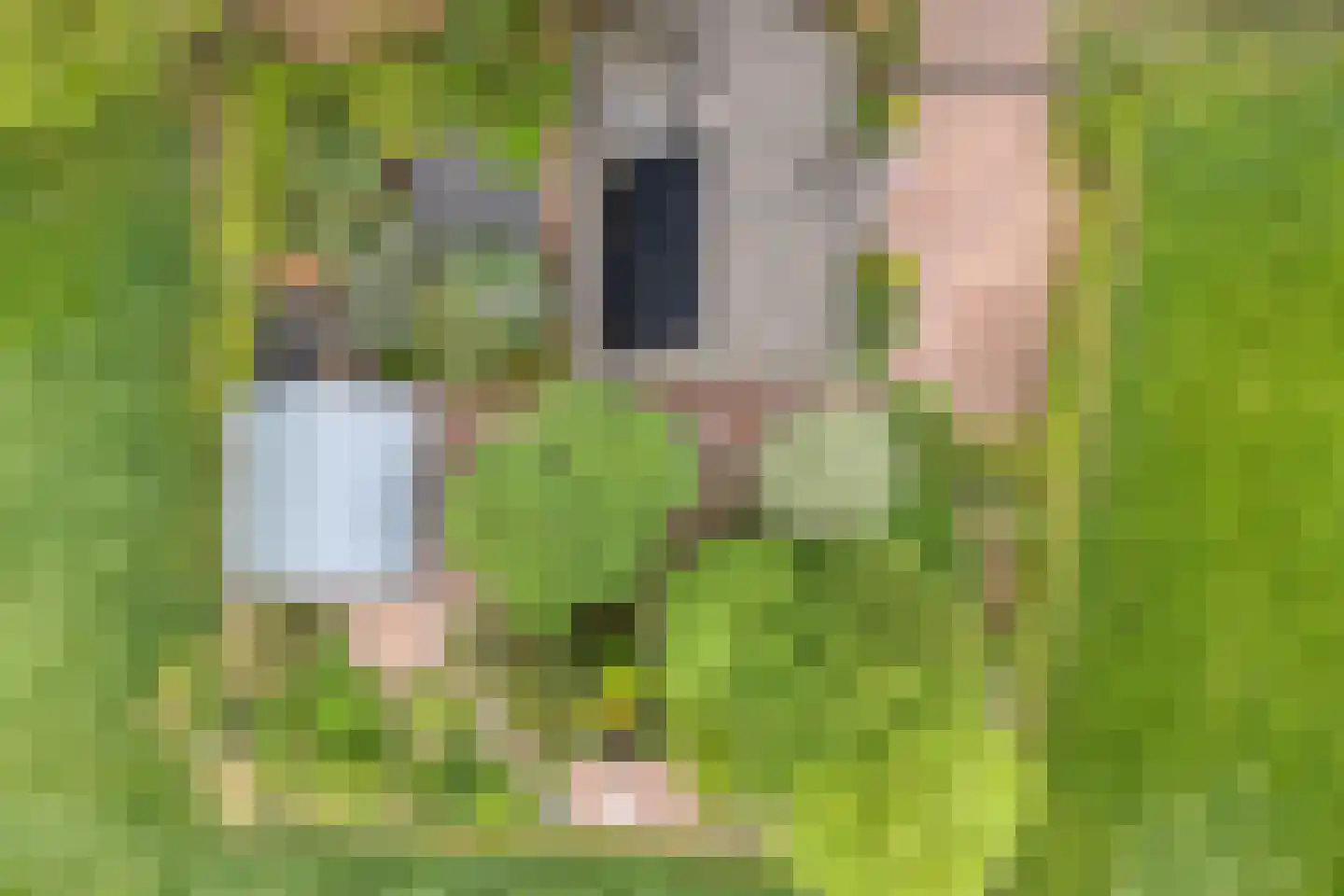 Tolhuisweg 28 Dalfsen thumbnail 75
