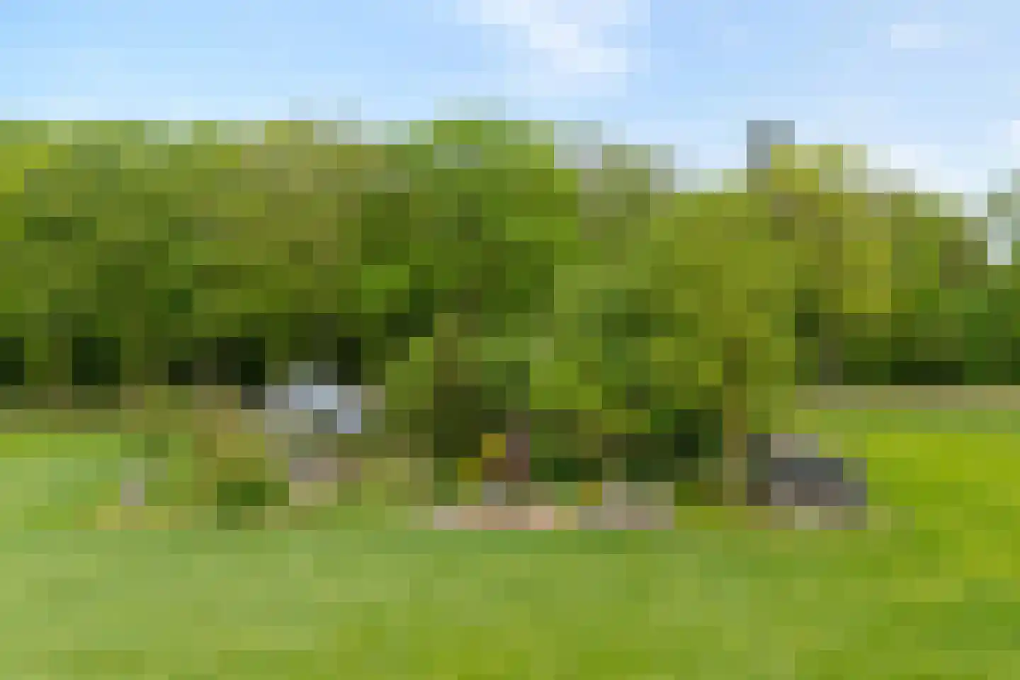 Tolhuisweg 28 Dalfsen thumbnail 76