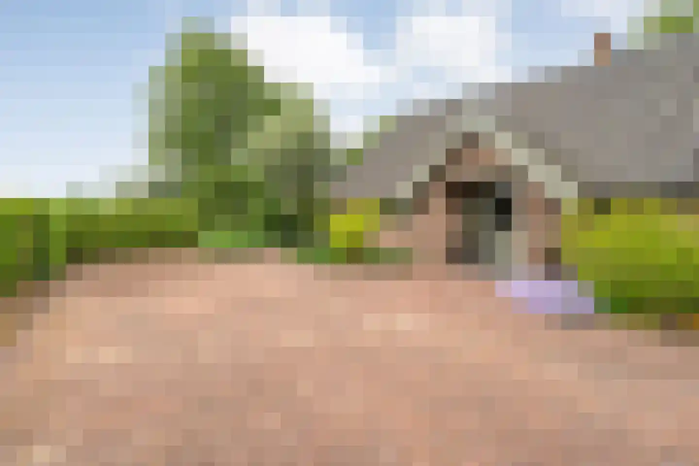 Tolhuisweg 28 Dalfsen thumbnail 8
