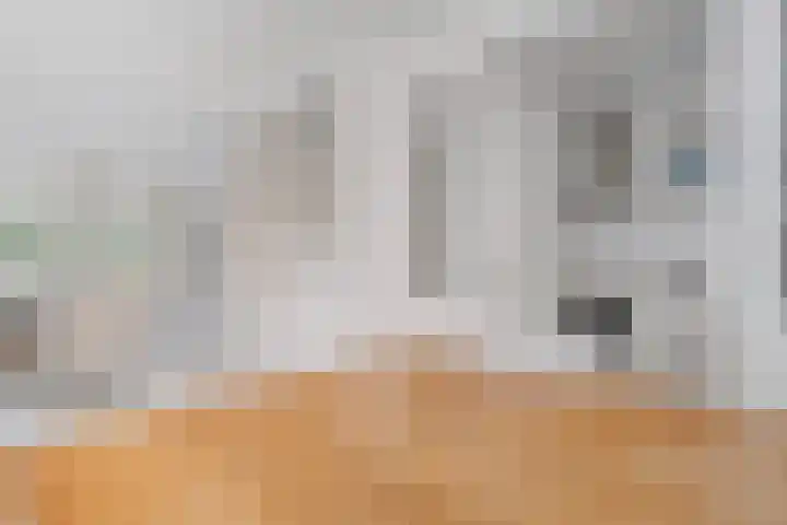 Tolhuisweg 3 Heerenveen thumbnail 13