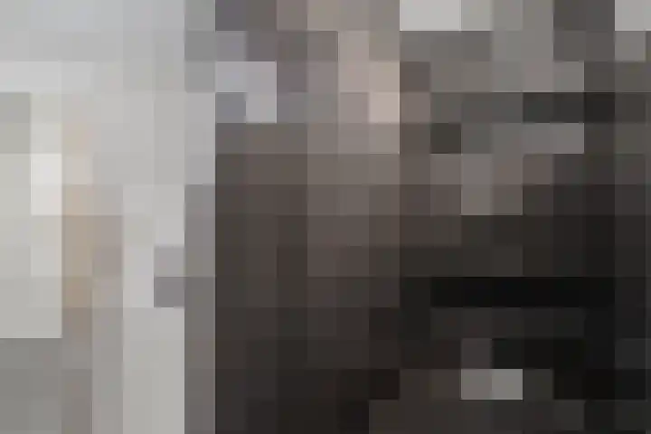 Tolhuisweg 3 Heerenveen thumbnail 21