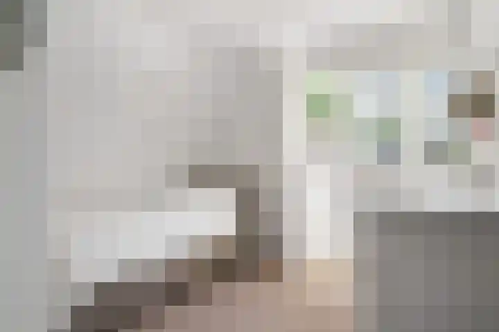 Tolhuisweg 3 Heerenveen thumbnail 25