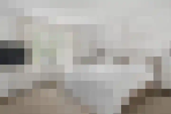 Tolhuisweg 3 Heerenveen thumbnail 29