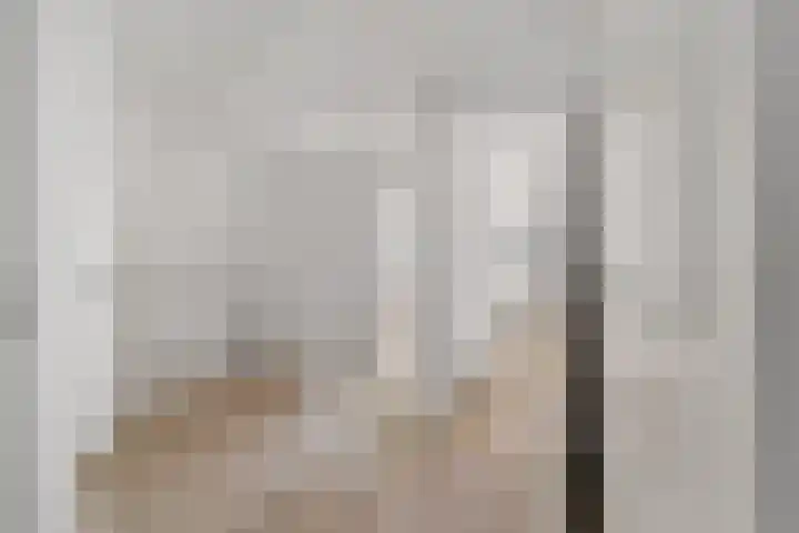 Tolhuisweg 3 Heerenveen thumbnail 31