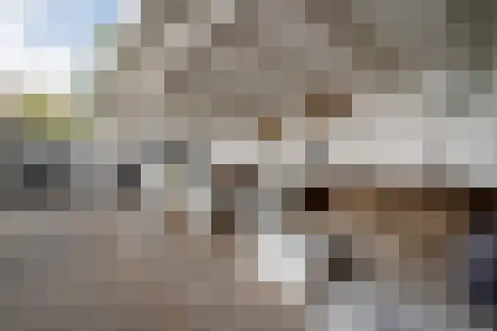 Tolhuisweg 3 Heerenveen thumbnail 34