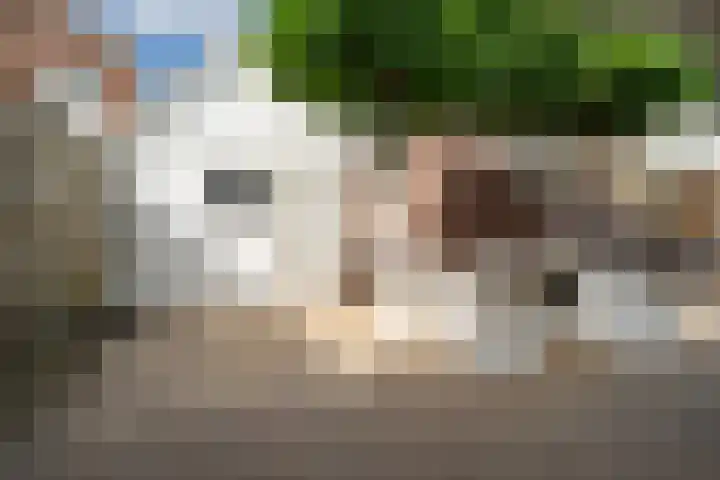 Tolhuisweg 3 Heerenveen thumbnail 37