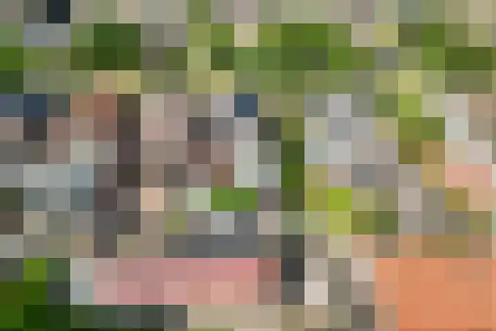 Tolhuisweg 3 Heerenveen thumbnail 39