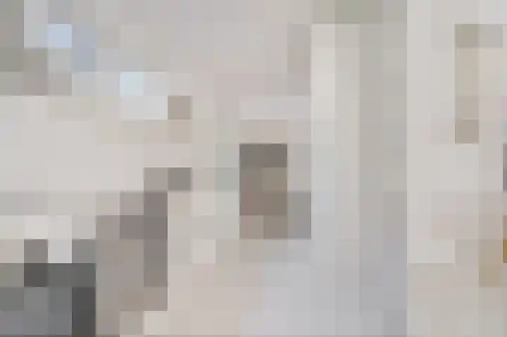 Tolhuisweg 3 Heerenveen thumbnail 4