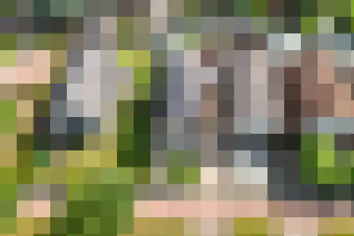 Tolhuisweg 3 Heerenveen thumbnail 41