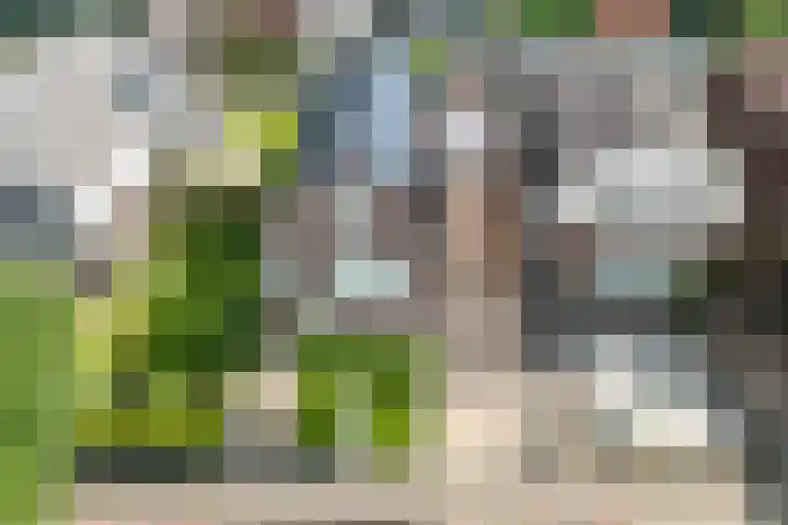 Tolhuisweg 3 Heerenveen thumbnail 42