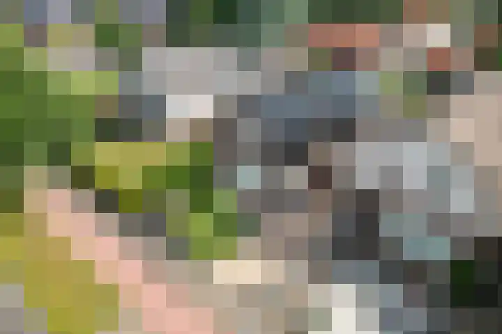 Tolhuisweg 3 Heerenveen thumbnail 43