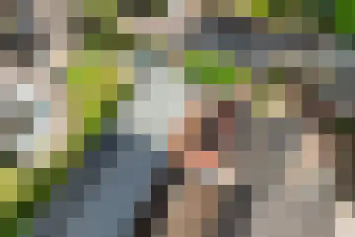 Tolhuisweg 3 Heerenveen thumbnail 44