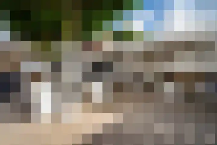 Tolhuisweg 3 Heerenveen thumbnail 5