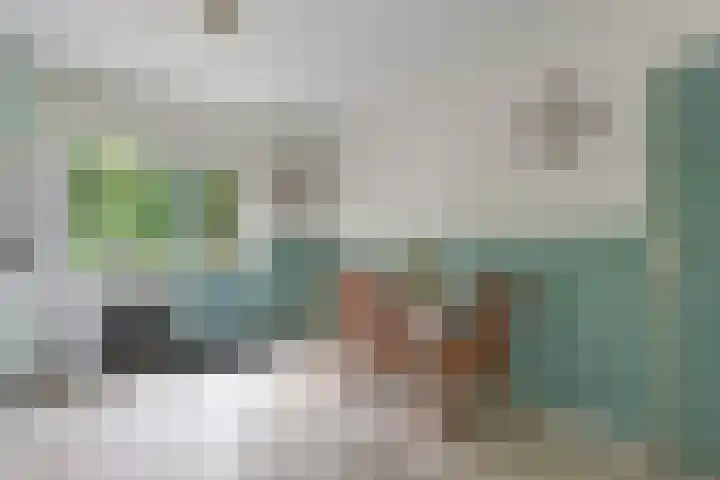Tolhuisweg 5 Witharen thumbnail 12
