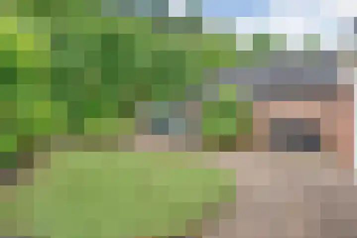 Tolhuisweg 5 Witharen thumbnail 36