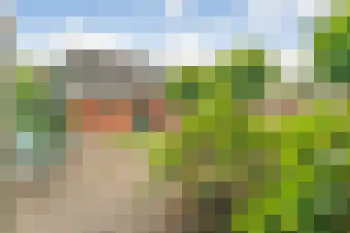 Tolhuisweg 5 Witharen thumbnail 40
