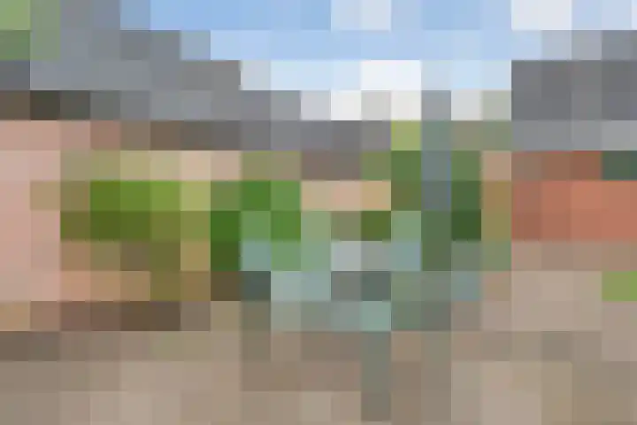 Tolhuisweg 5 Witharen thumbnail 41
