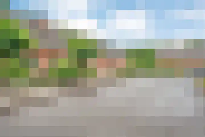 Tolhuisweg 5 Witharen thumbnail 43