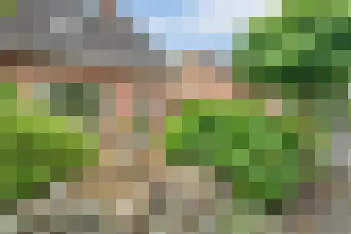 Tolhuisweg 5 Witharen thumbnail 44