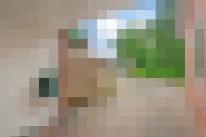 Tolhuisweg 5 Witharen thumbnail 47